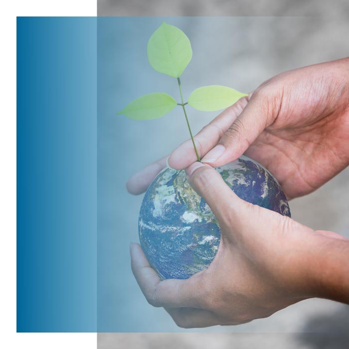 KAM-consultants-norm-FSC-certificaat-1
