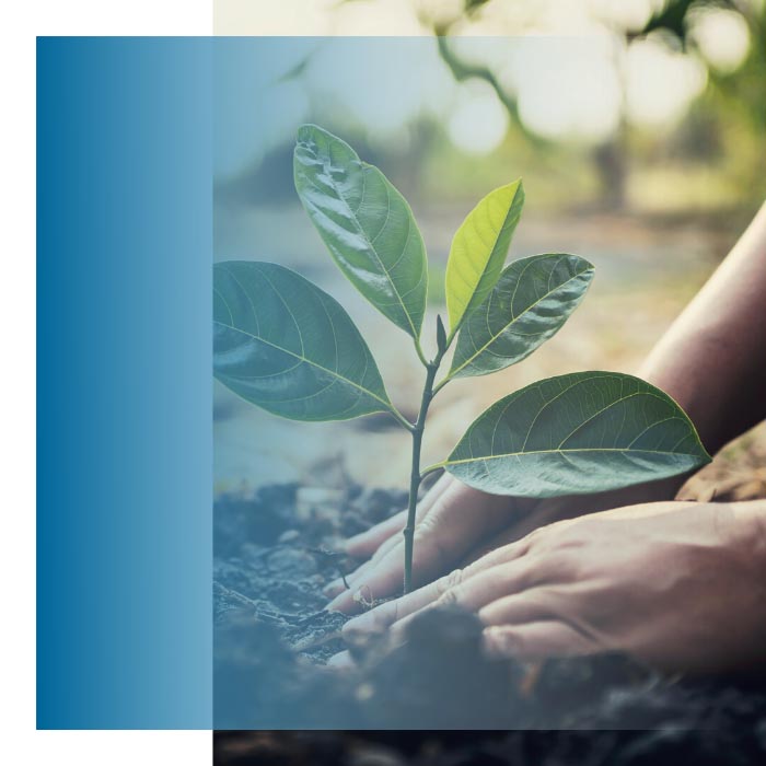 KAM-consultants-norm-FSC-certificaat-3