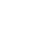 icons kam_Lean Orange Belt